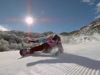 The Art Of Flight