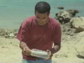 Une Bouteille A La Mer