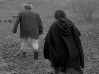 The Turin Horse (French)