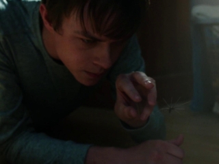 Chronicle Spider Uk