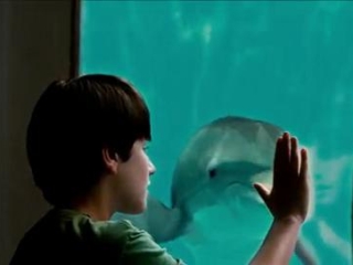 Dolphin Tale Italian