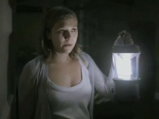 Silent House Reflection