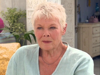 The Best Exotic Marigold Hotel Judi Bench On What Attracted Her To The Project