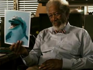 Dolphin Tale Spanish - Dolphin Tale - Flixster Video