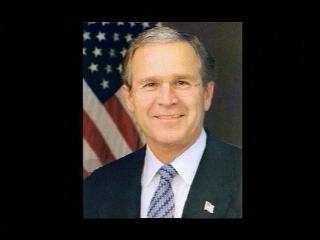 BUSH'S BRAIN