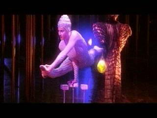 Cirque du Soleil Varekai