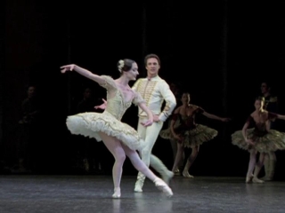La Danse Australia - La Danse -- Le Ballet de lOpera de Paris - Flixster Video
