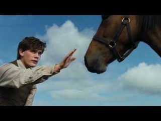 War Horse Italian
