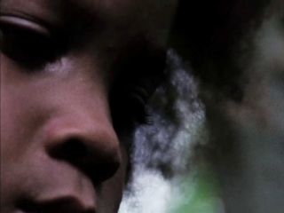 Beasts Of The Southern Wild The Whole Universe
