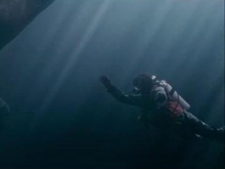 Big Miracle Drews Cold Water Dive Spanish