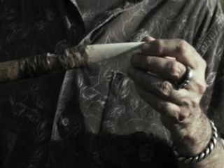 CAVE OF FORGOTTEN DREAMS (SPANISH)