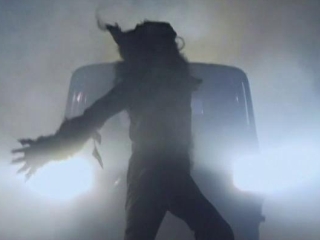Werewolf Fever