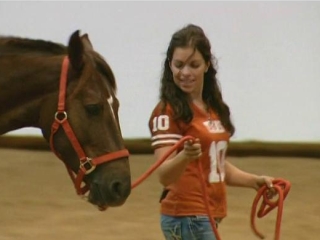Wild Horse Wild Ride The Competition