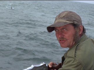 Jaws Im Coming Around Again