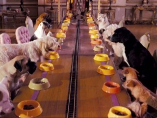 Hotel For Dogs Swedish Trailer 4