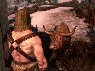 Hearthfire