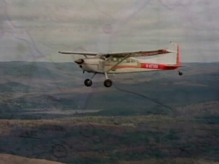 Dennis Weaver - Rotten Tomatoes