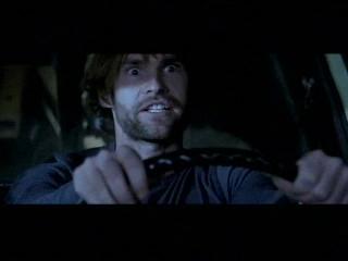 The Dukes Of Hazzard Scene Go Bo Go