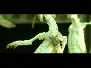 Man-thing