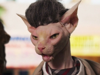 Seven Psychopaths Seven Psychocats Spoof Trailer