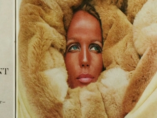 Diana Vreeland The Eye Has To Travel Uk