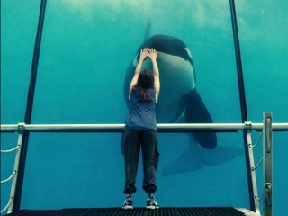 Whale Us
