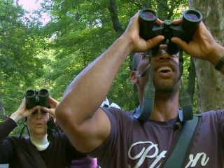 Birders The Central Park Effect
