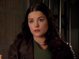 The Last Stand Jaimie Alexander On The Story