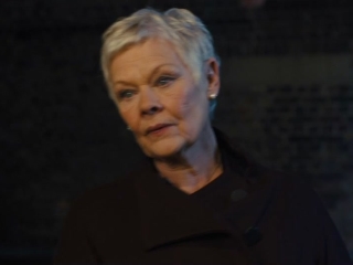 Skyfall Completely Inconspicuous