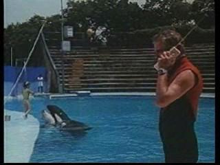Keiko en peligro movie