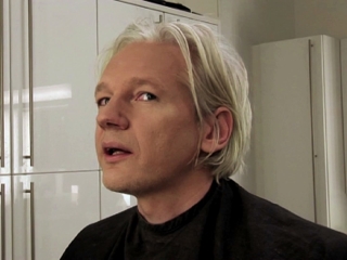 We Steal Secrets The Story Of Wikileaks Das Gesicht German