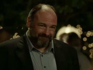 Enough Said Party Scene