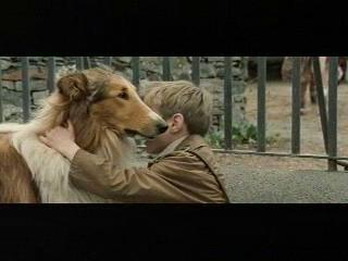 Lassie