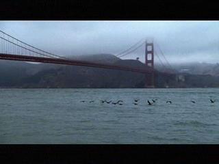 THE BRIDGE