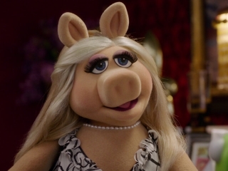 who is david cook dating