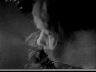 Amorphis - BLACK WINTER DAY