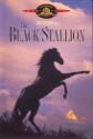 The Black Stallion