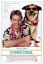 Summer School poster