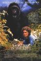 Gorillas In The Mist poster