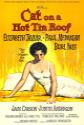 Cat On A Hot Tin Roof poster