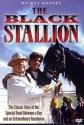 The Adventures Of The Black Stallion poster