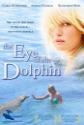 Eye Of The Dolphin poster