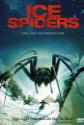 Ice Spiders Photo and Poster