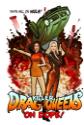 Killer Drag Queens On Dope!