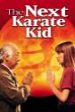 The Next Karate Kid poster