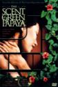 The Scent Of Green Papaya