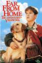 Far From Home: The Adventures Of Yellow Dog Photo and Poster