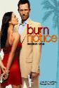Burn Notice: Lesser Evil