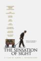 The Sensation Of Sight