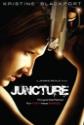 Juncture Photo and Poster